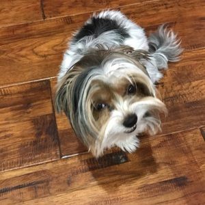 Meet your Posher, Jill